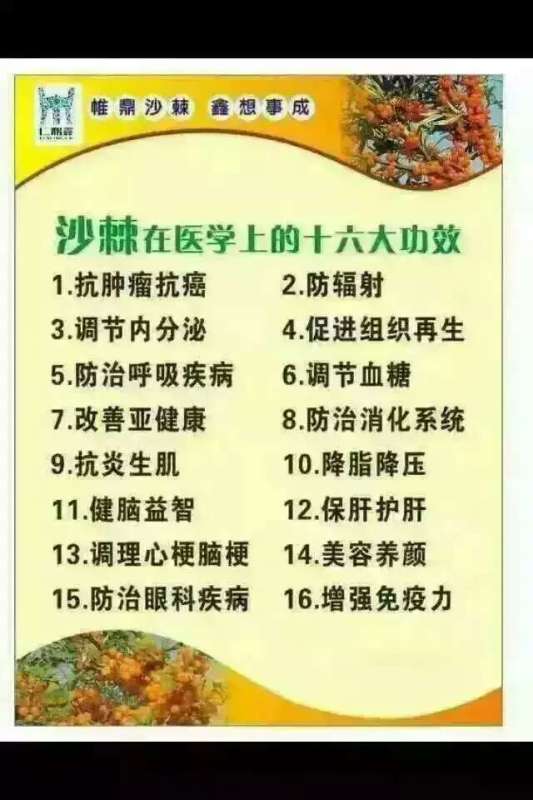 小春沙棘油