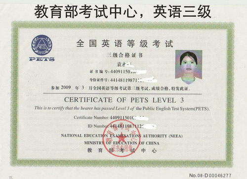 pets公共英语三级或以上证书.